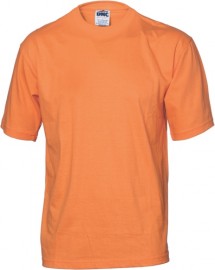 DNC3847, HiVis Cotton Jersey Tee - S/S